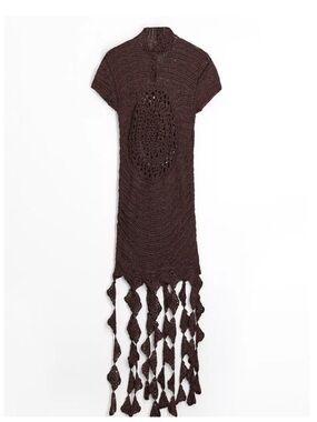 Zara Brown Crochet Fringe Mini Dress